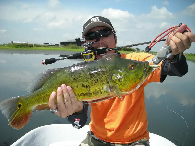 Temporada de Pesca