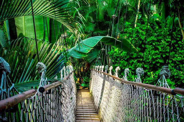 Governo espera que cúpula do clima COP30 alavanque o ecoturismo - Foto: Pixabay