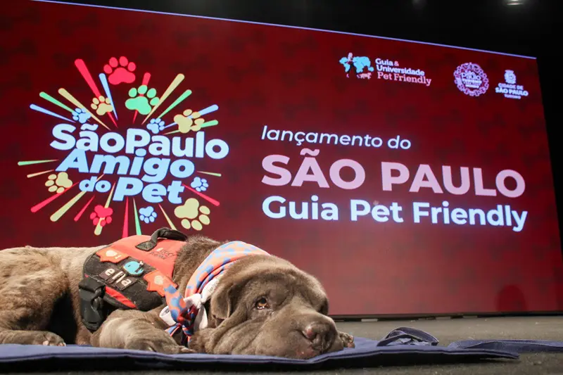 Guia Pet Friendly
