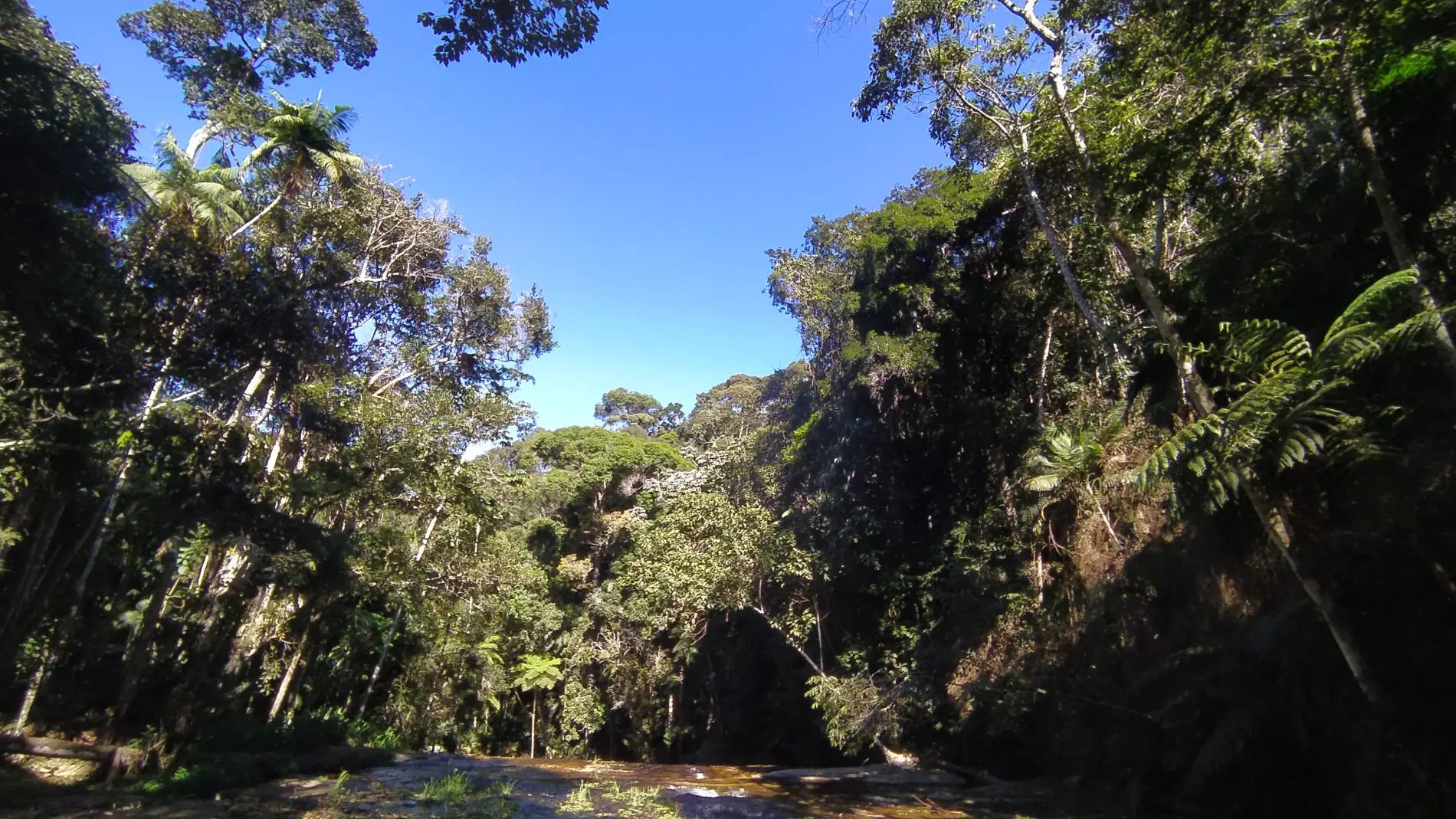 Banho de floresta é destaque na Reserva Águia Branca - Foto: Bruno Almeida - DT