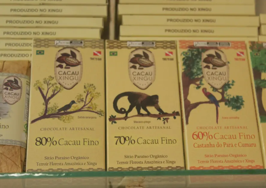 Cacau Xingu