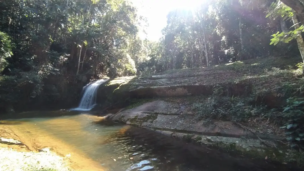 Imersão na floresta traz bem estar, afirma analista de sustentabilidade da Reserva íguia Branca - Foto: Bruno Almeida - DT Imersão na floresta traz bem estar, afirma analista de sustentabilidade da Reserva Águia Branca - Foto: Bruno Almeida - DT