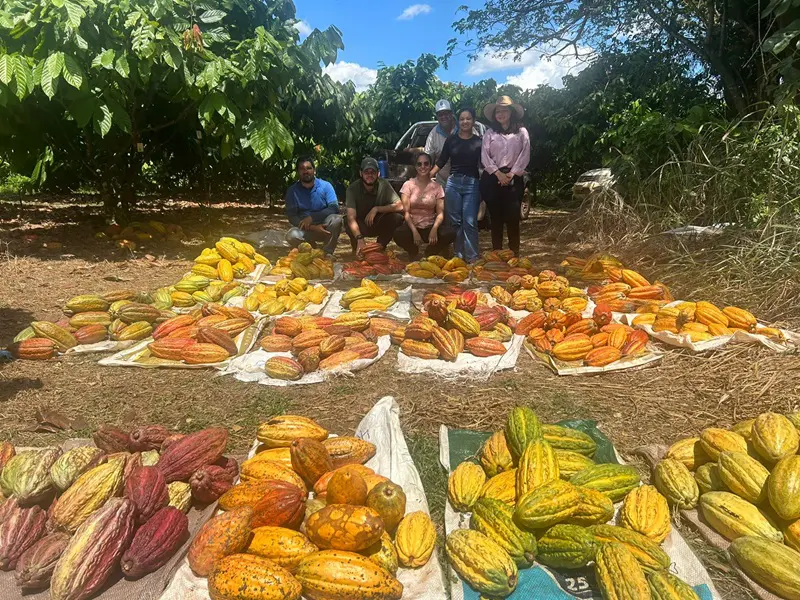 Fazenda Panorama