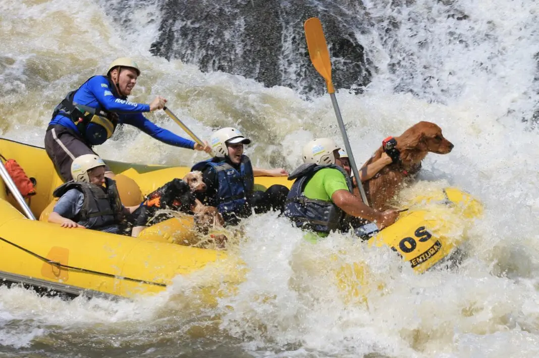 Rafting PET em Socorro (Crédito: Prefeitura Municipal de Socorro) Viagem com bicho doméstico - Rafting PET em Socorro (Crédito: Prefeitura Municipal de Socorro)
