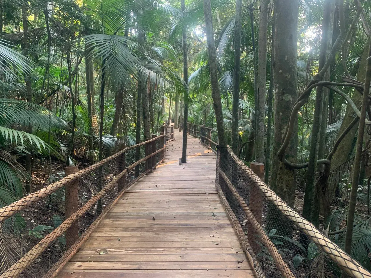 Trilha da Nascente no Jardim Botânico