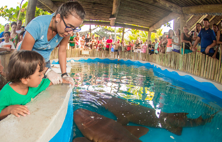 Oceanário de Aracaju Foto Divulgação Projeto TAMAR