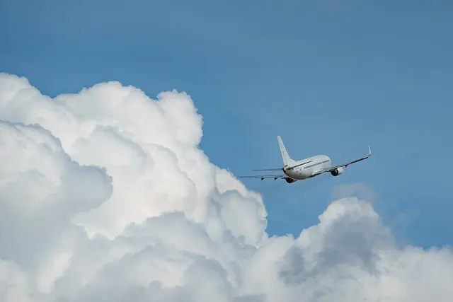Foto: Pixabay Iata - Foto: Pixabay