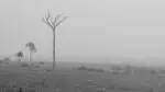 Roteiro Acre - Rondônia
