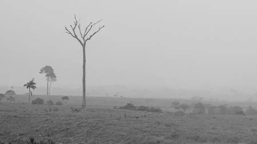 rondonia 5 Roteiro Acre - Rondônia