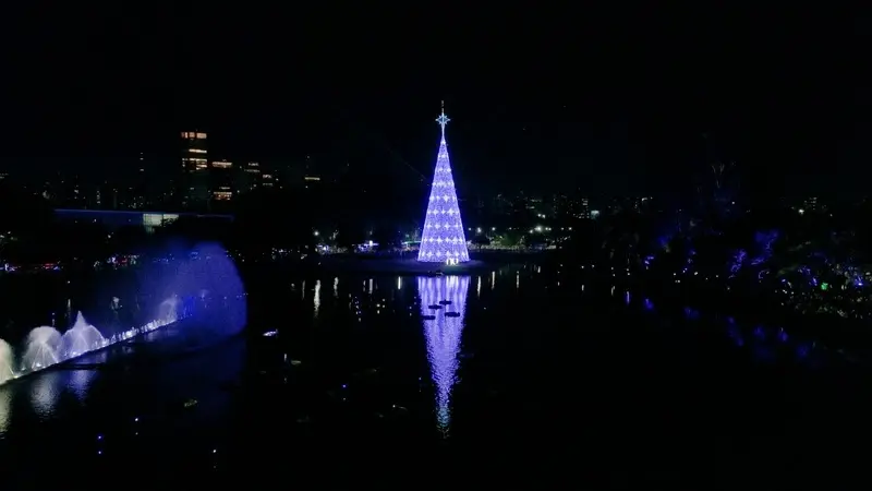 Árvore de Natal do Parque Ibirapuera de 2023 | Divulgação Urbia Parques)