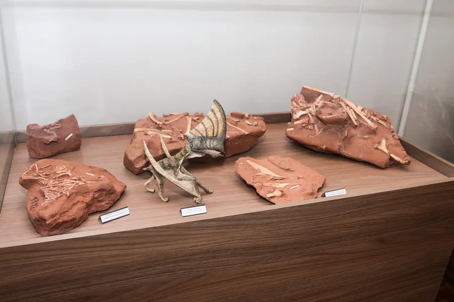 Conferência de Geologia e Mineração