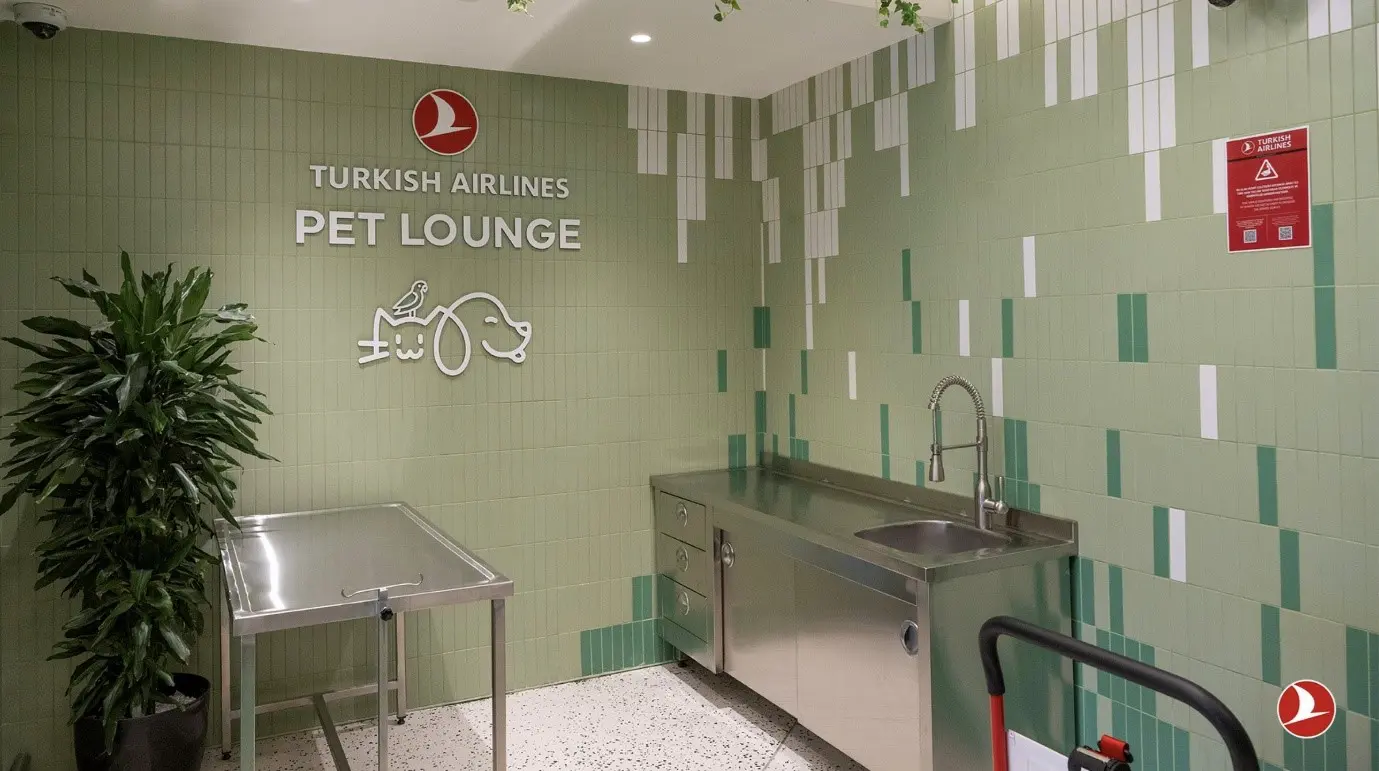 Turkish Airlines apresenta exclusivo Pet Lounge - Foto: Divulgação