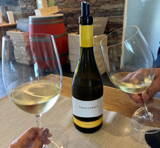 Degustação de vinhos Tiago Cabaço (Foto: Simone Barros)