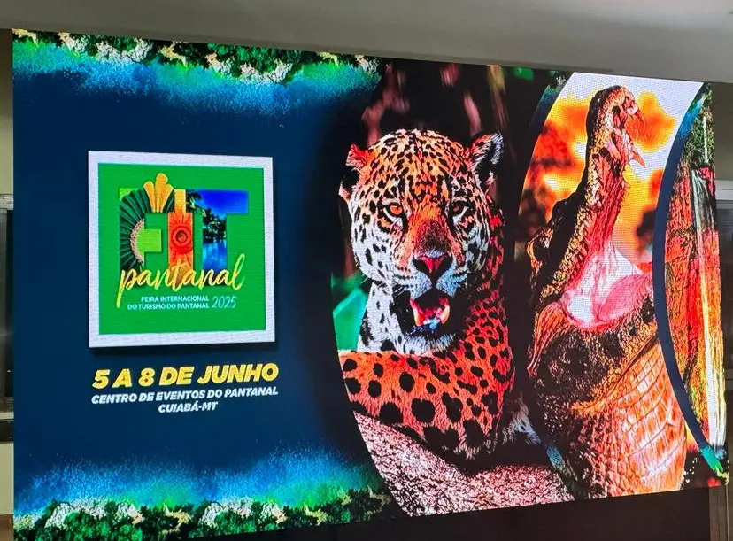 Fit Pantanal