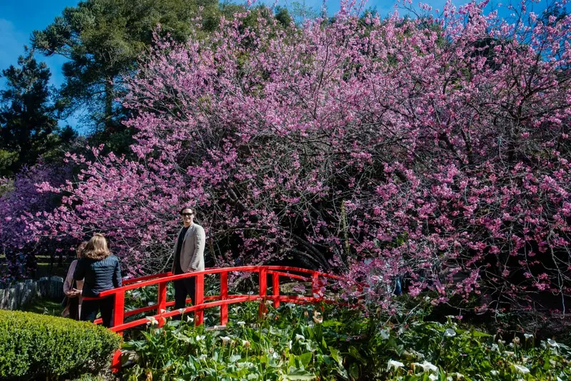 Campos do Jordão