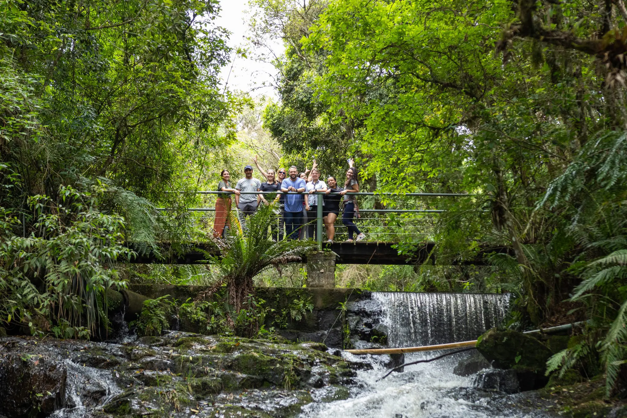 Trilhas ecológicas e contato direto com a natureza no Destino Miringuava – Foto: divulgação
