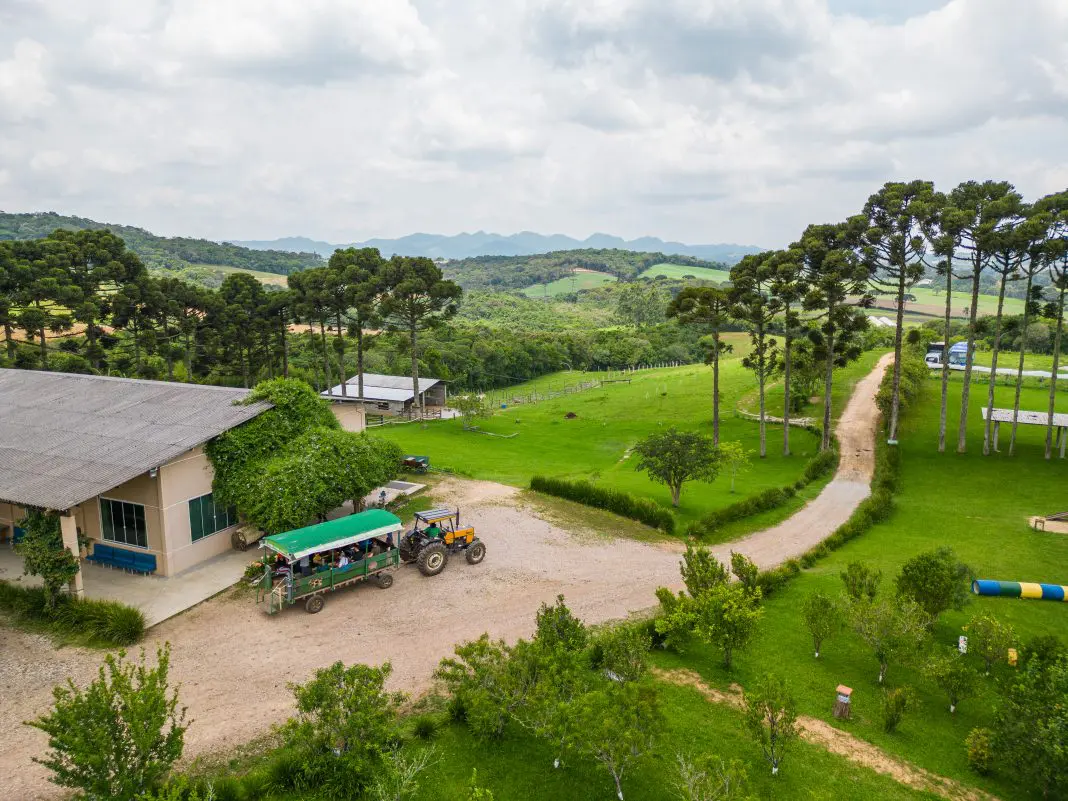 Vista panorâmica do Destino Miringuava, em São José dos Pinhais, com a Mata Atlântica ao fundo – Foto: divulgação