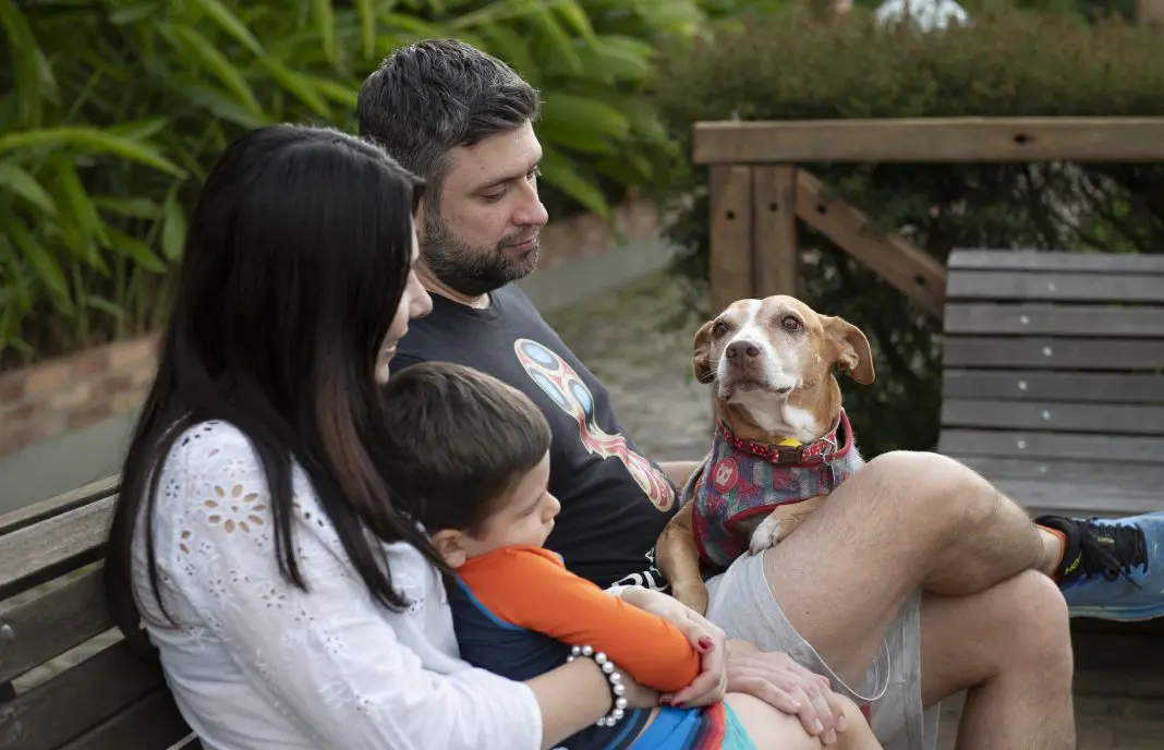 Matiz Igaratá Resort Spa e Eventos - Foto: divulgação Hotelaria Brasil - pet friendly