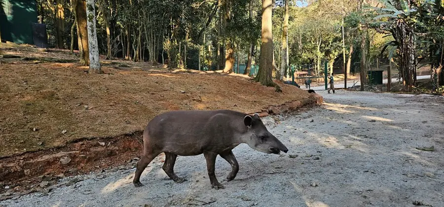 Zoo São Paulo