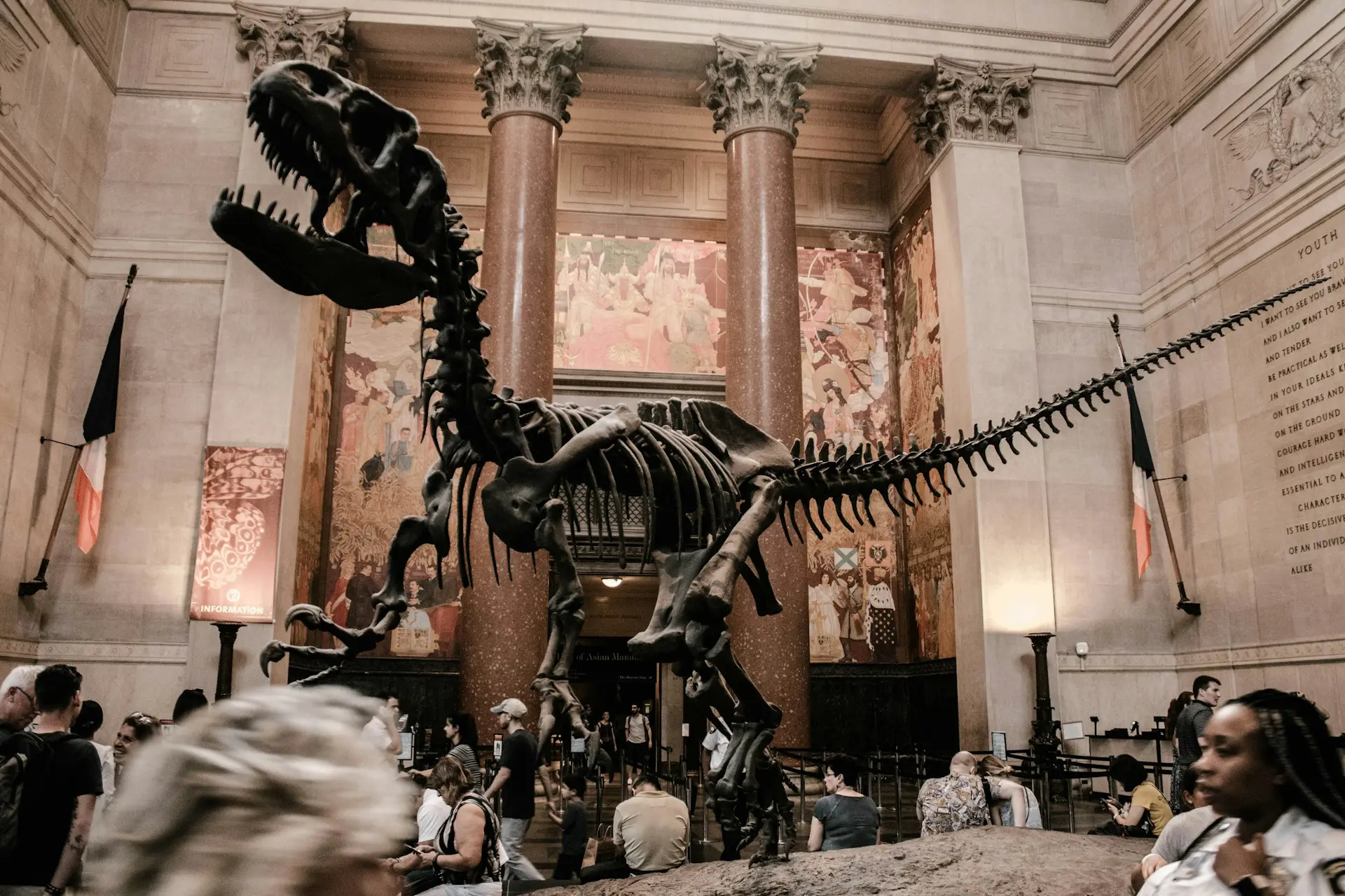 Um dos dinossauros que está no Museu Americano de História Natural - Foto: Aditya Vyas na Unsplash