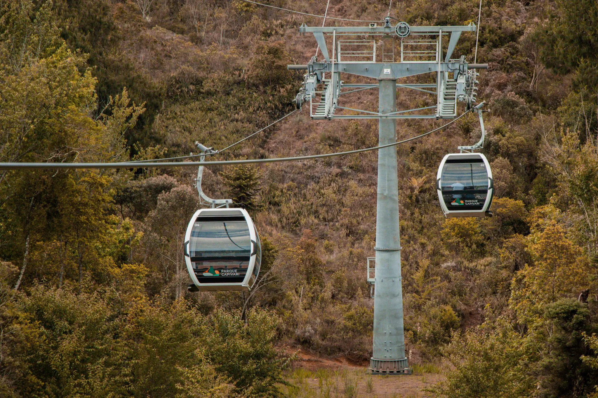 O teleférico possui um percurso de 560 metros e leva os visitantes do parque até o topo do Morro do Elefante - Foto: divulgação