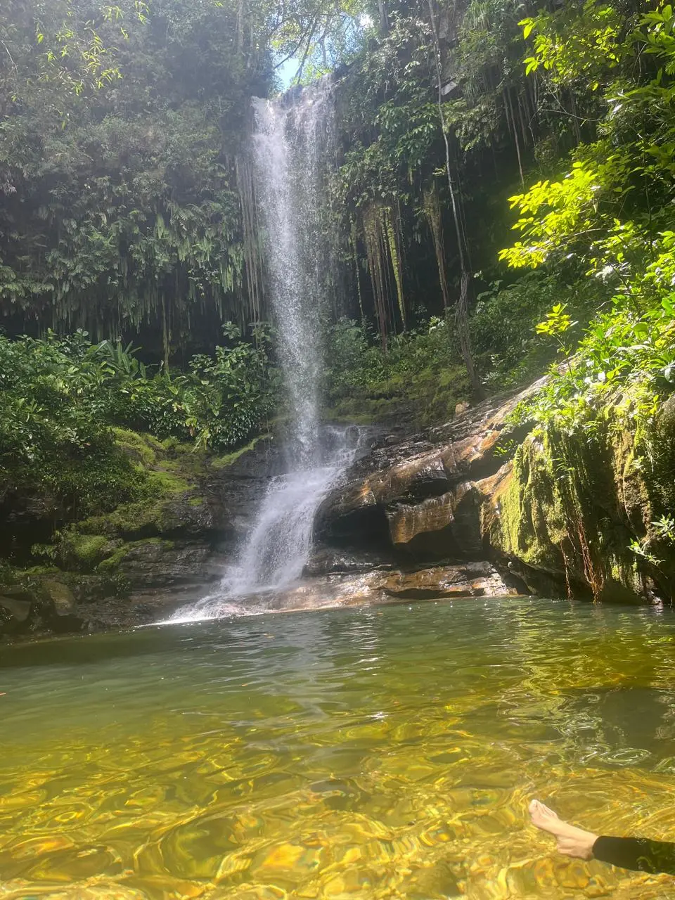 Santa Cruz do Araguaia