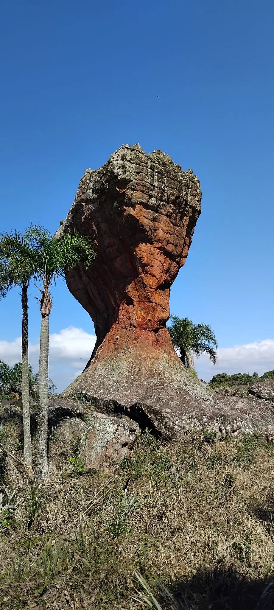 Ponta Grossa