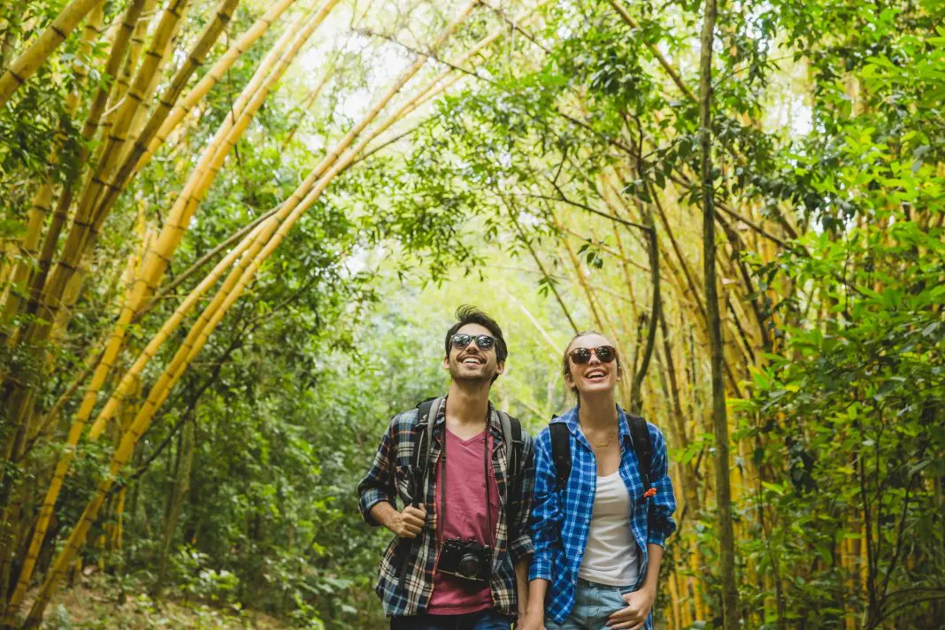 Ministério do Turismo e ICMBio fortalecem ações em Parques Nacionais para promover o turismo sustentável - Foto: Freepik