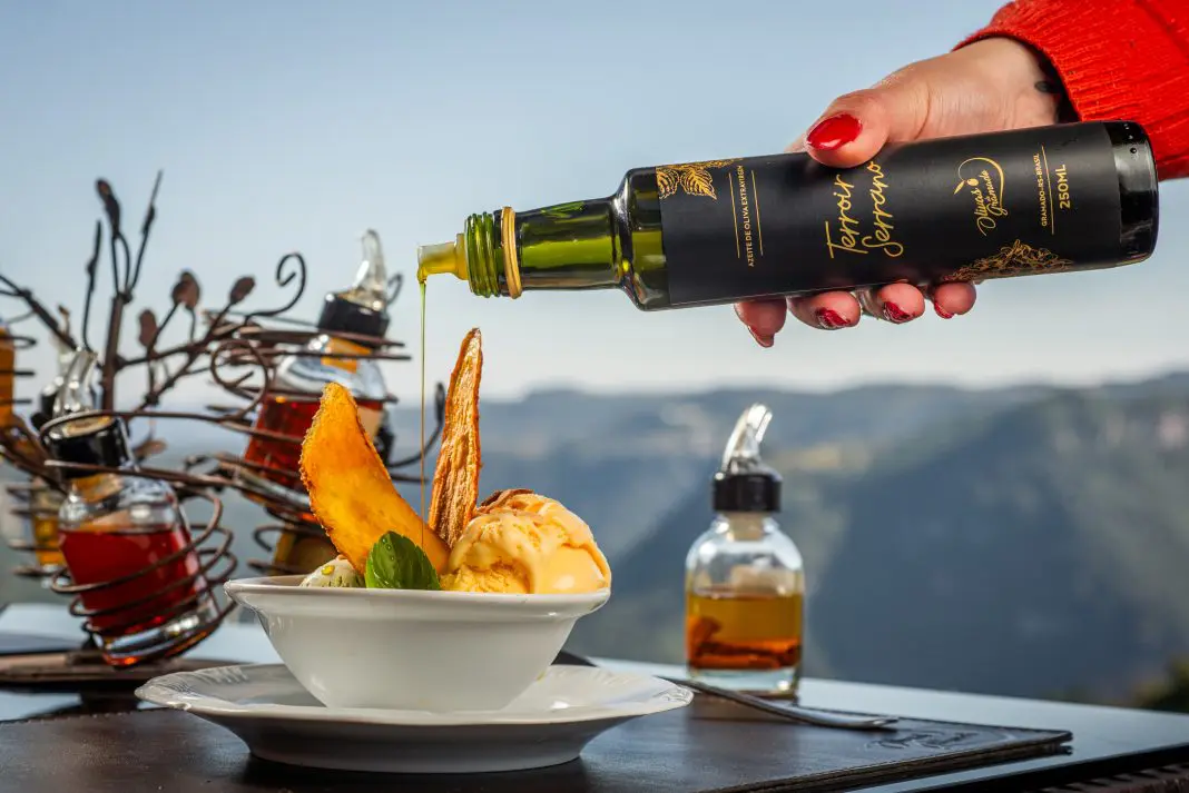 O azeite Terroir Serrano, produzido pelo Olivas de Gramado, recebeu medalha de ouro no NYIOOC 2025, maior concurso de azeites do mundo - Foto: divulgação