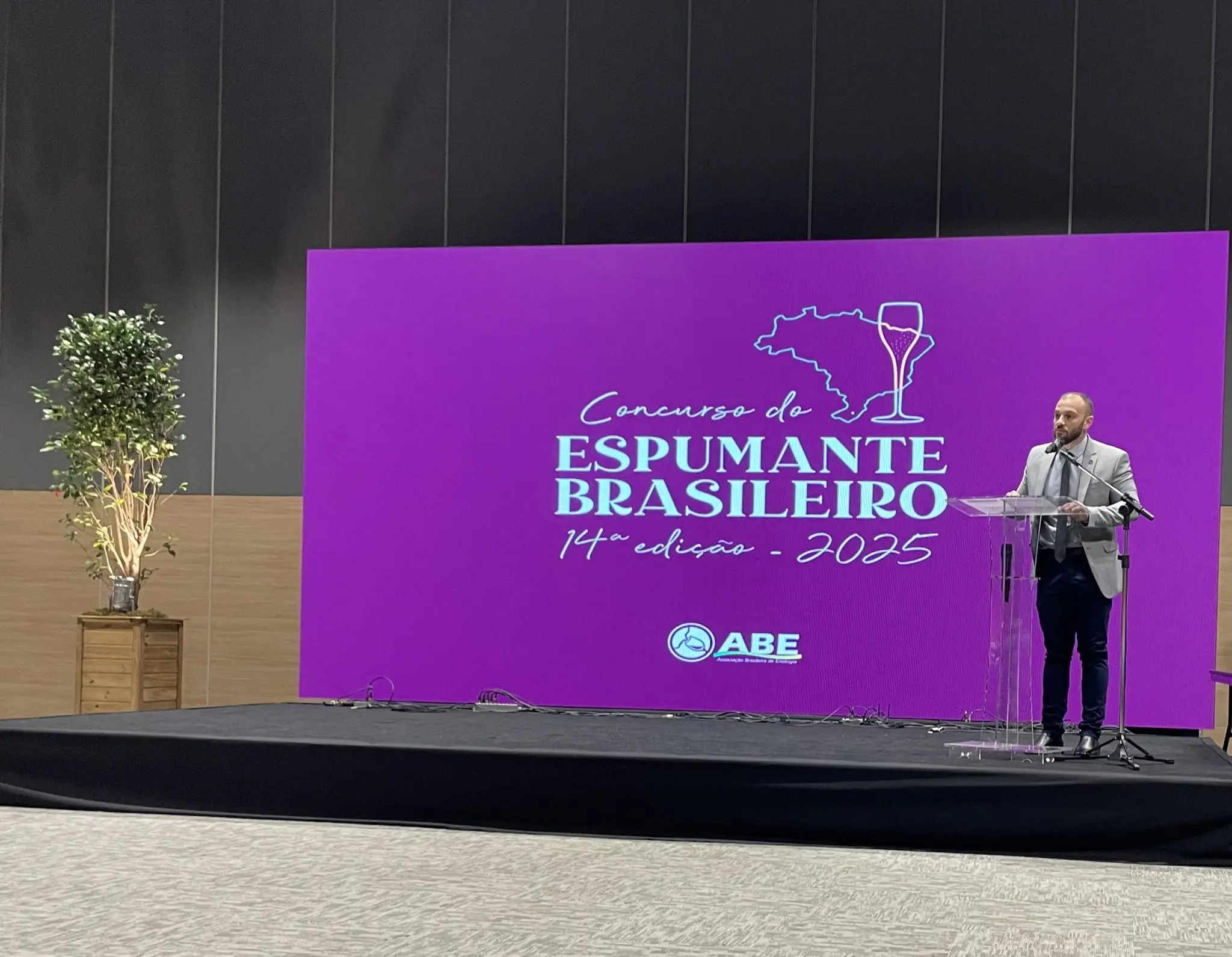 Presidente da ABE, o enólogo Mário Lucas Leggli - Foto: Waleska Schumacher