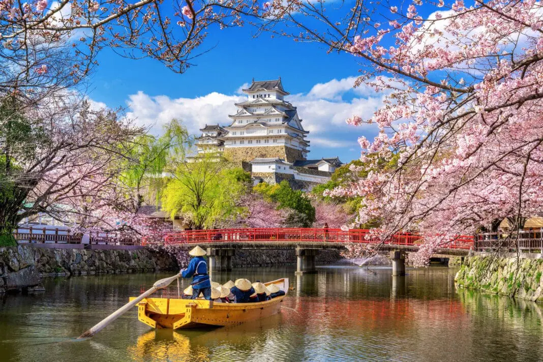 Flores de cerejeira emolduram o Castelo de Himeji, um dos cartões-postais mais emblemáticos do Japão. Crédito: Freepik