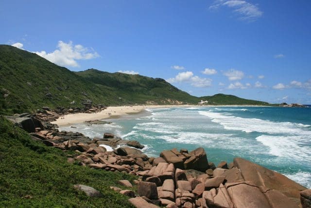 Praia de Galheta, em Florianópolis (Foto: divulgação)