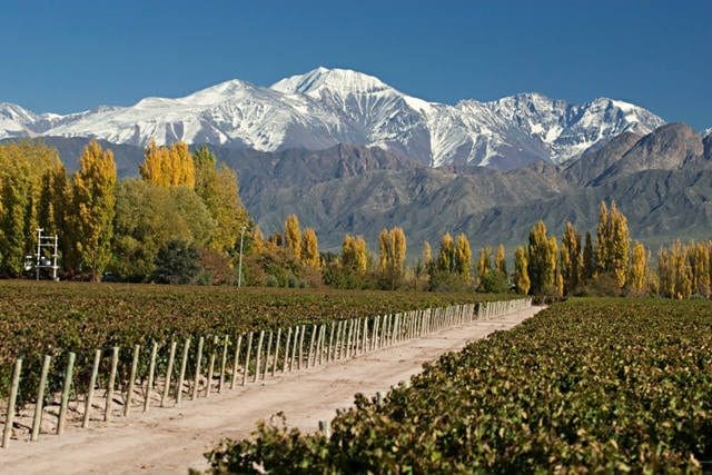 Festa Nacional da Vendí­mia, em Mendoza, reúne 37 mil turistas