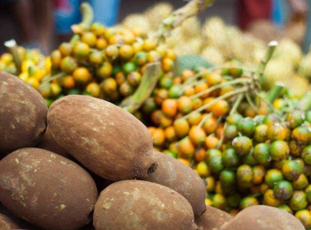 Evento gastronômico reúne sabores da Amazônia em Belém