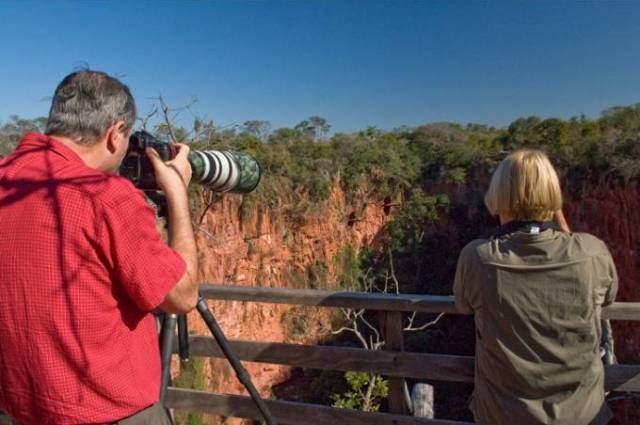 Córdoba terá jornadas de observação de aves em junho