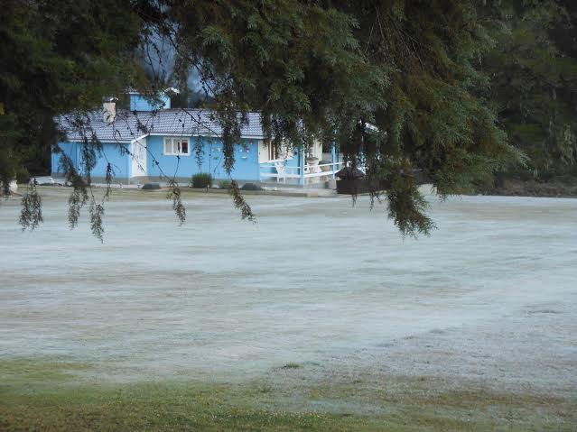 Monte_verde_geada_6_15