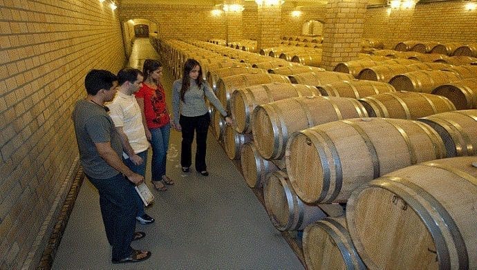 Bento_Gonçalves_Vinicola_08_15