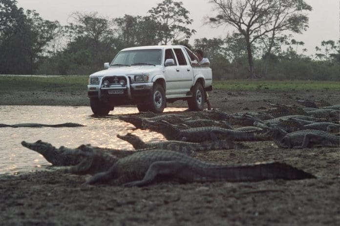 Coxim (MS) atrai visitantes para ecoturismo - Diário do Turismo