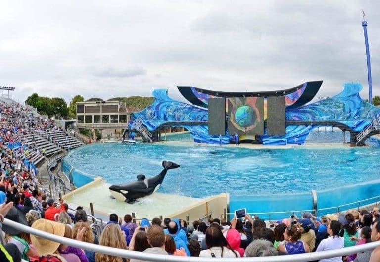 SeaWorld Parks & Entertainment agora tem treinamentos on-line