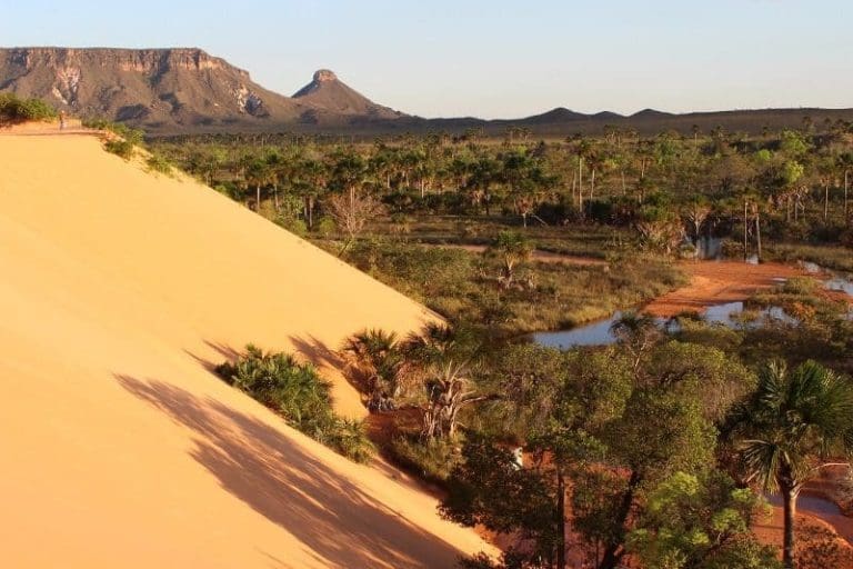 Jalapão: expedições de aventura exuberantes pelo cerrado