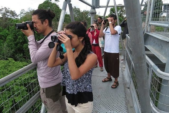 Museu da Amazônia passa a integrar roteiro turí­stico do Estado