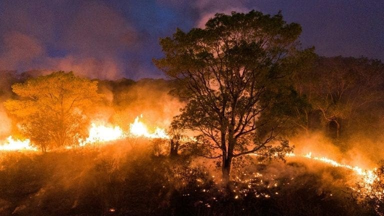 O Pantanal está queimando ““ a era do fogo chegou!