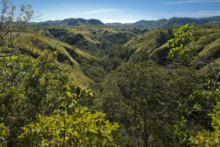 Turismo em áreas de conservação cresceu 300% no Brasil