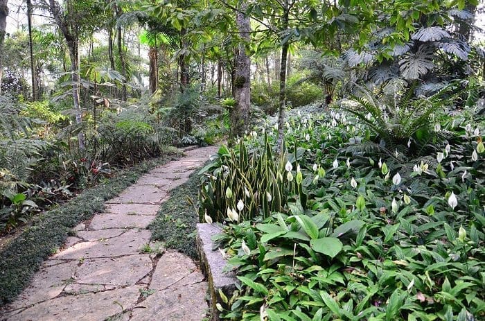 O Banho de Floresta é uma das atrações do Fiori de Luce.