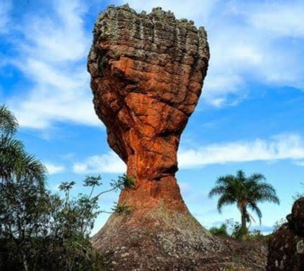 Minhas Amigas e Amigos do Paraná