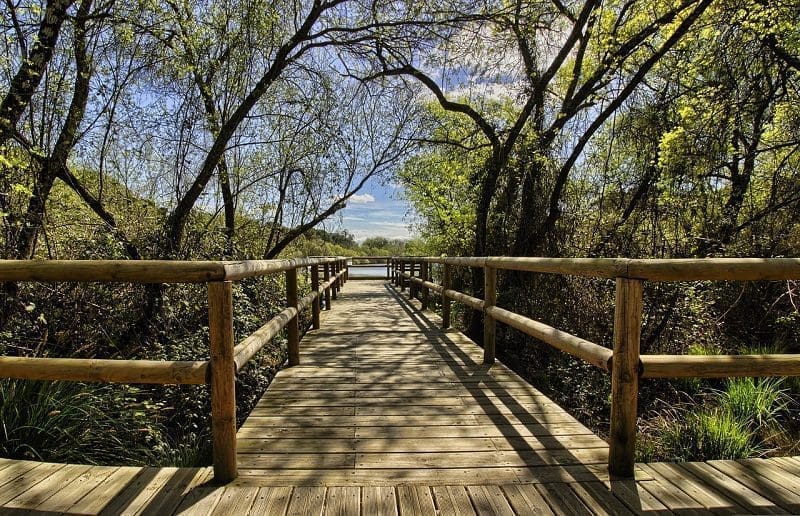 parque-natural econoronha