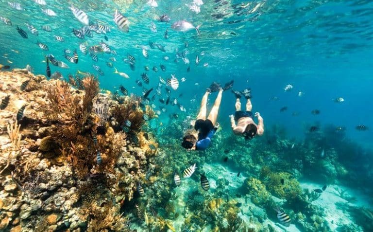 Mergulho nas águas cristalinas das Bahamas