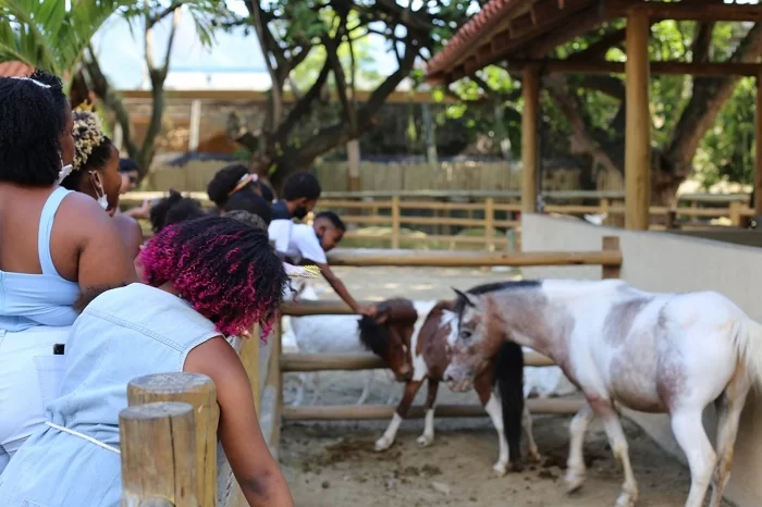 Atrações turísticas do RJ se unem em ação social de Natal para ajudar famílias