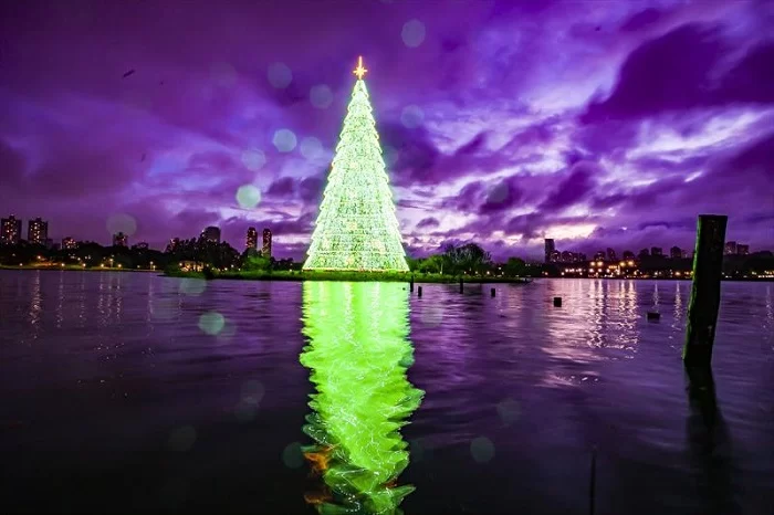 Árvore de Natal de 22 metros estreou no Parque Barigui, em Curitiba