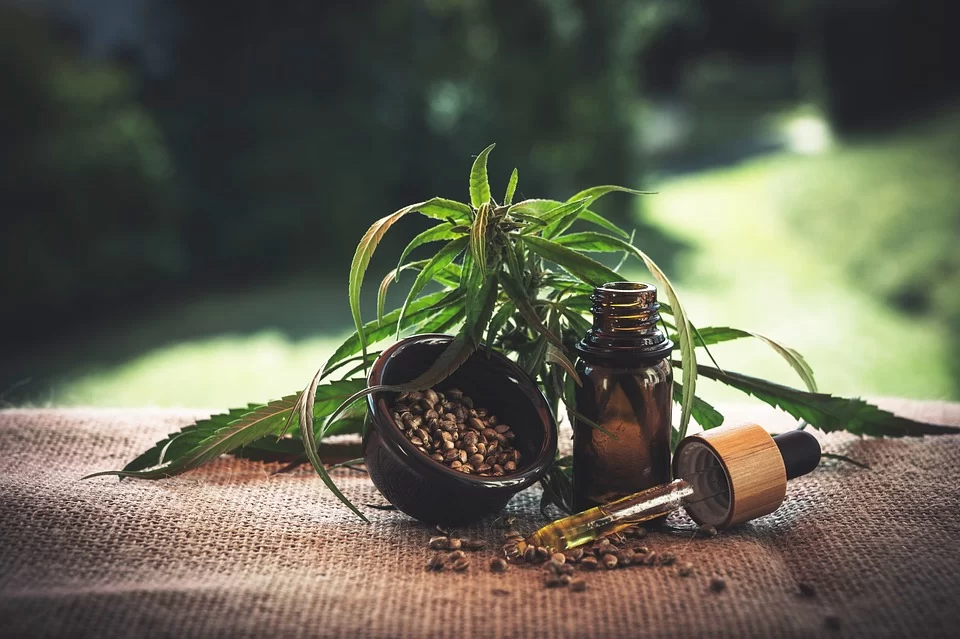 Cannabis 1 23 Uso medicinal da Cannabis